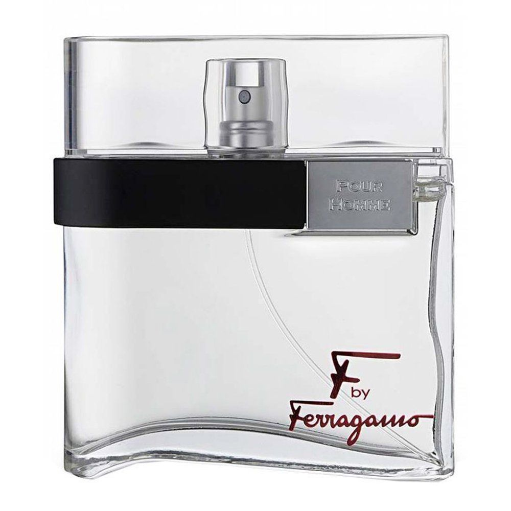 Salvatore Ferragamo Ferragamo F 100ML - Frag Daddy