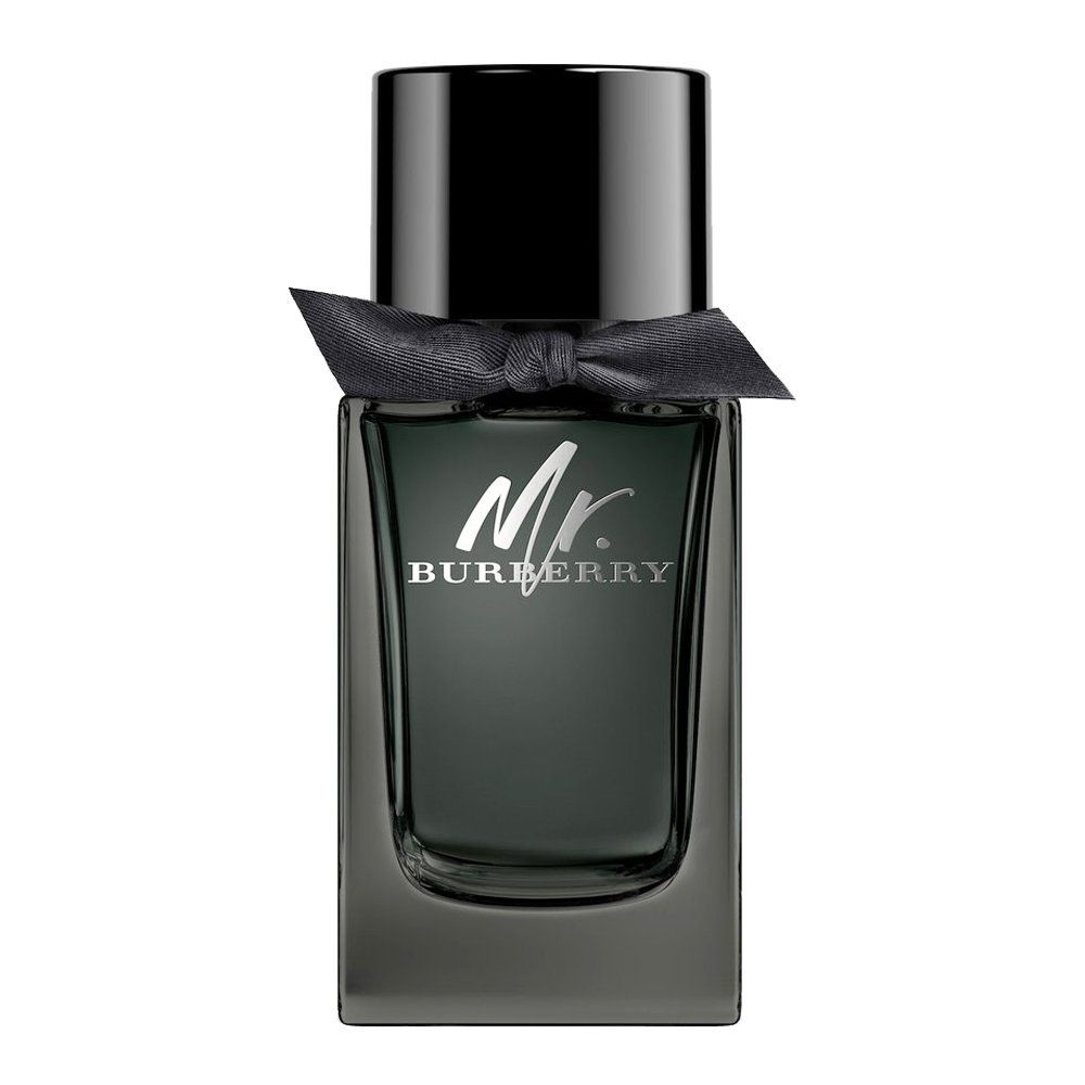 Burberry Mr. Burberry EDP 100ML - Frag Daddy