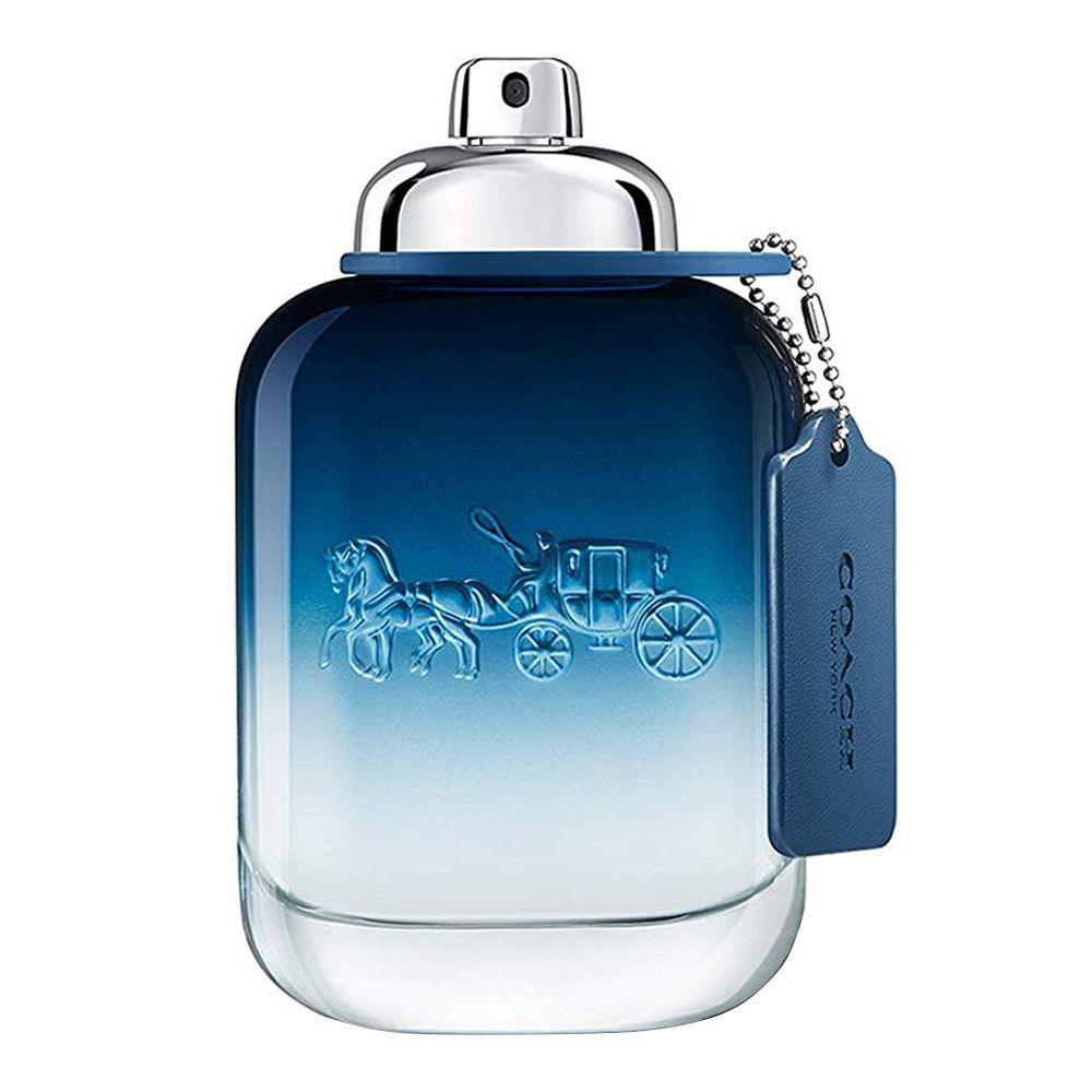 COACH BLUE MEN EDT 100ML - Frag Daddy