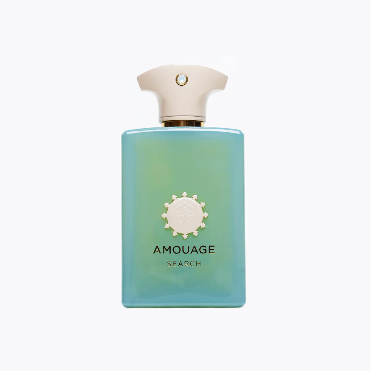 AMOUAGE SEARCH EDP 100ML - Frag Daddy