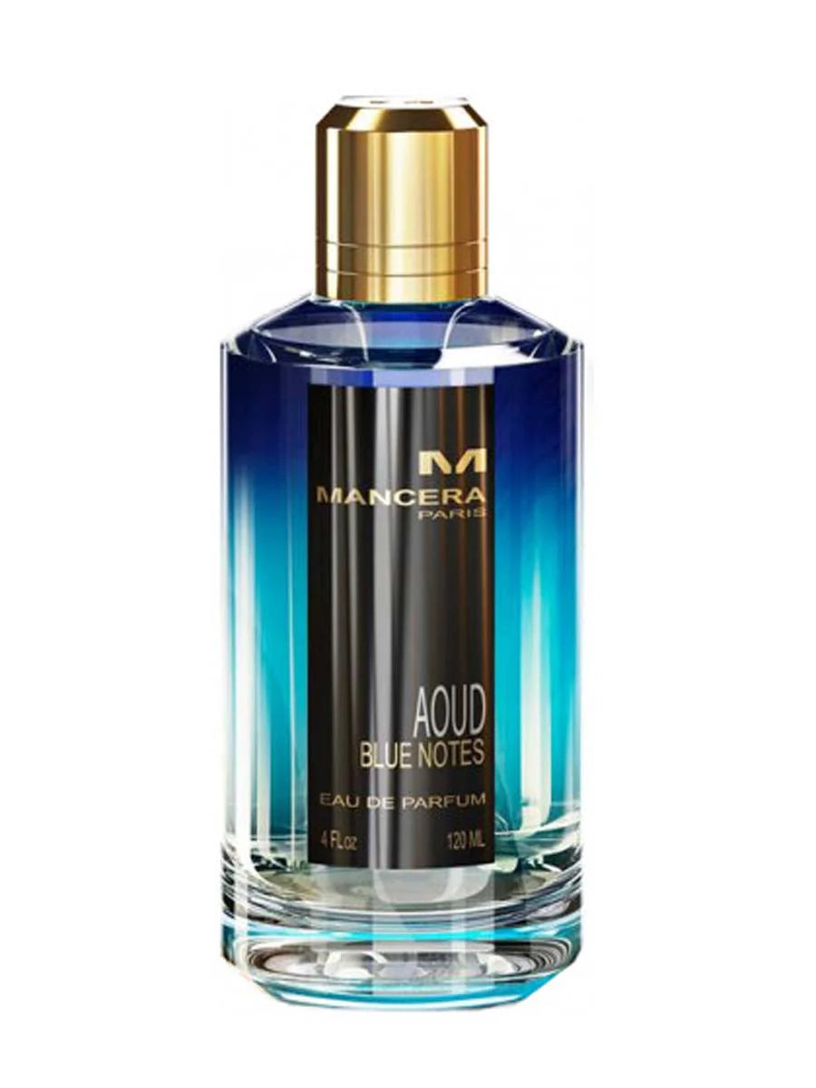 MANCERA BLUE AOUD EDP 120ML - Frag Daddy