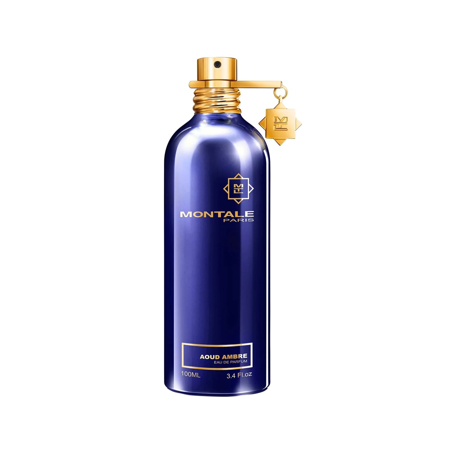 MONTALE AOUD AMBRE 100 ML EDP - Frag Daddy