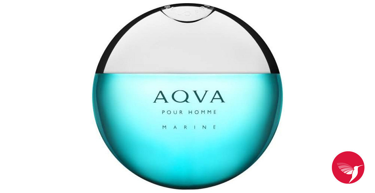 BVLGARI AQVA MARINE EDT 100ML - Frag Daddy