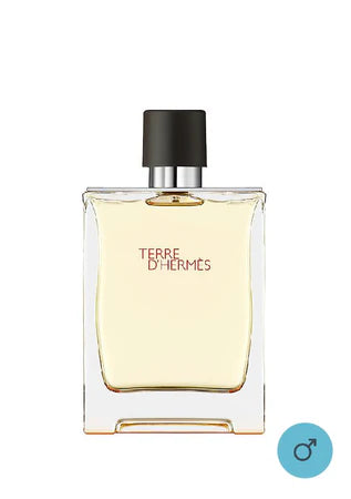 TERRE D HERMES EDT 200ML